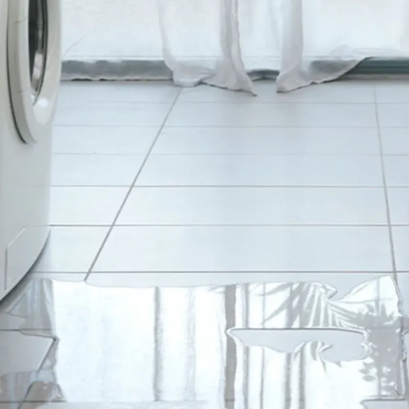Appliance Leak Cleanup in Newark, AR