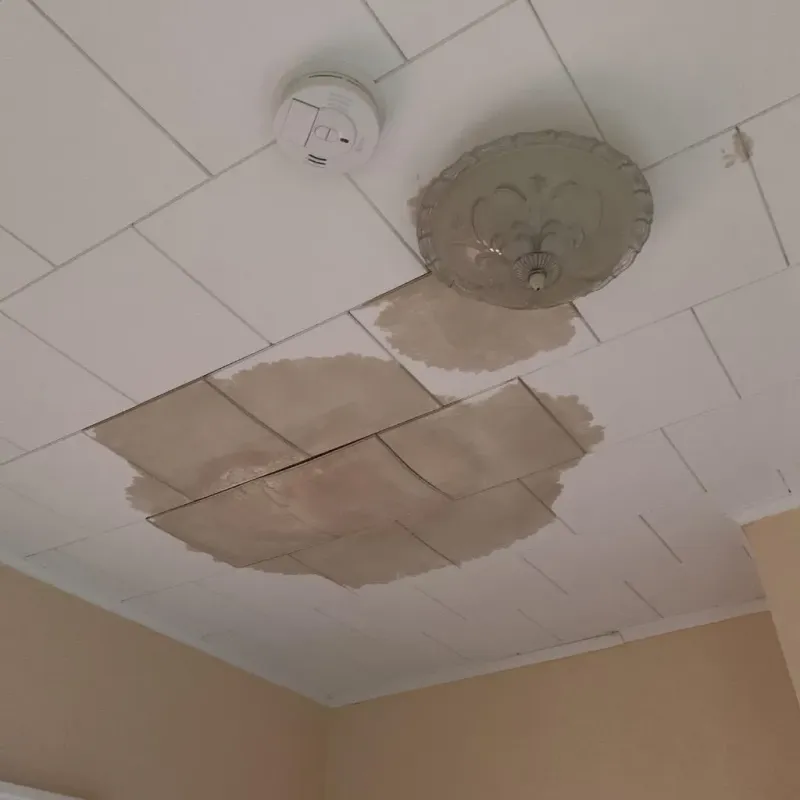 Ceiling Water Damage Repair in Newark, AR