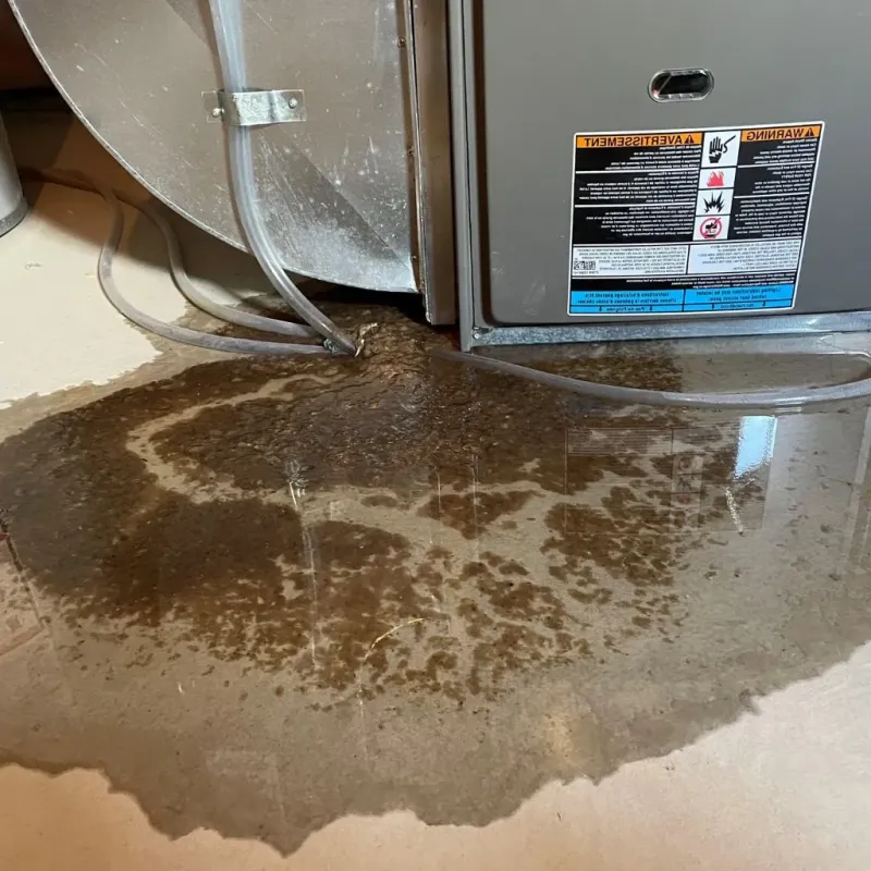Pipe Burst and Leak Restoration in Newark, AR