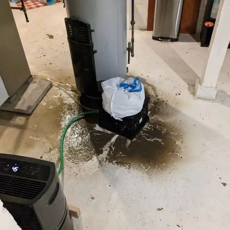 Sewage Backup Cleanup Service in Newark, AR